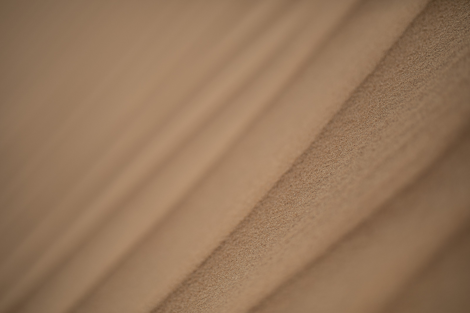 Human & Nature  outoftime 132